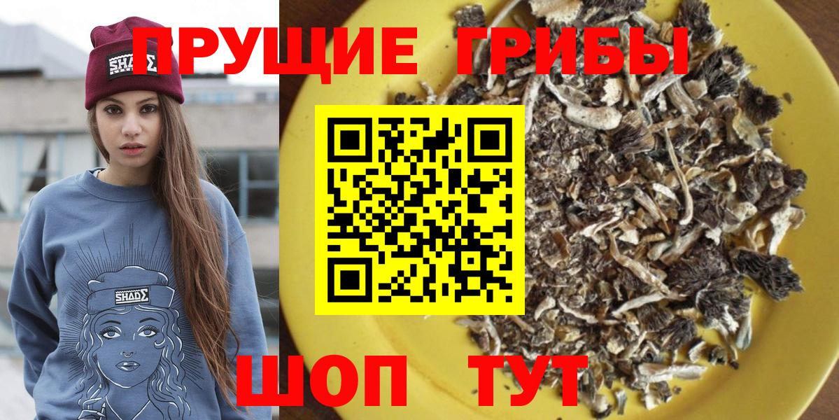 Псилоцибиновые грибы MAGIC MUSHROOMS  Галлюциногенные грибы мицелий  Щёлково  Вход с VPN 