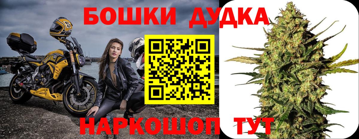Бошки Шишки планчик Щёлково